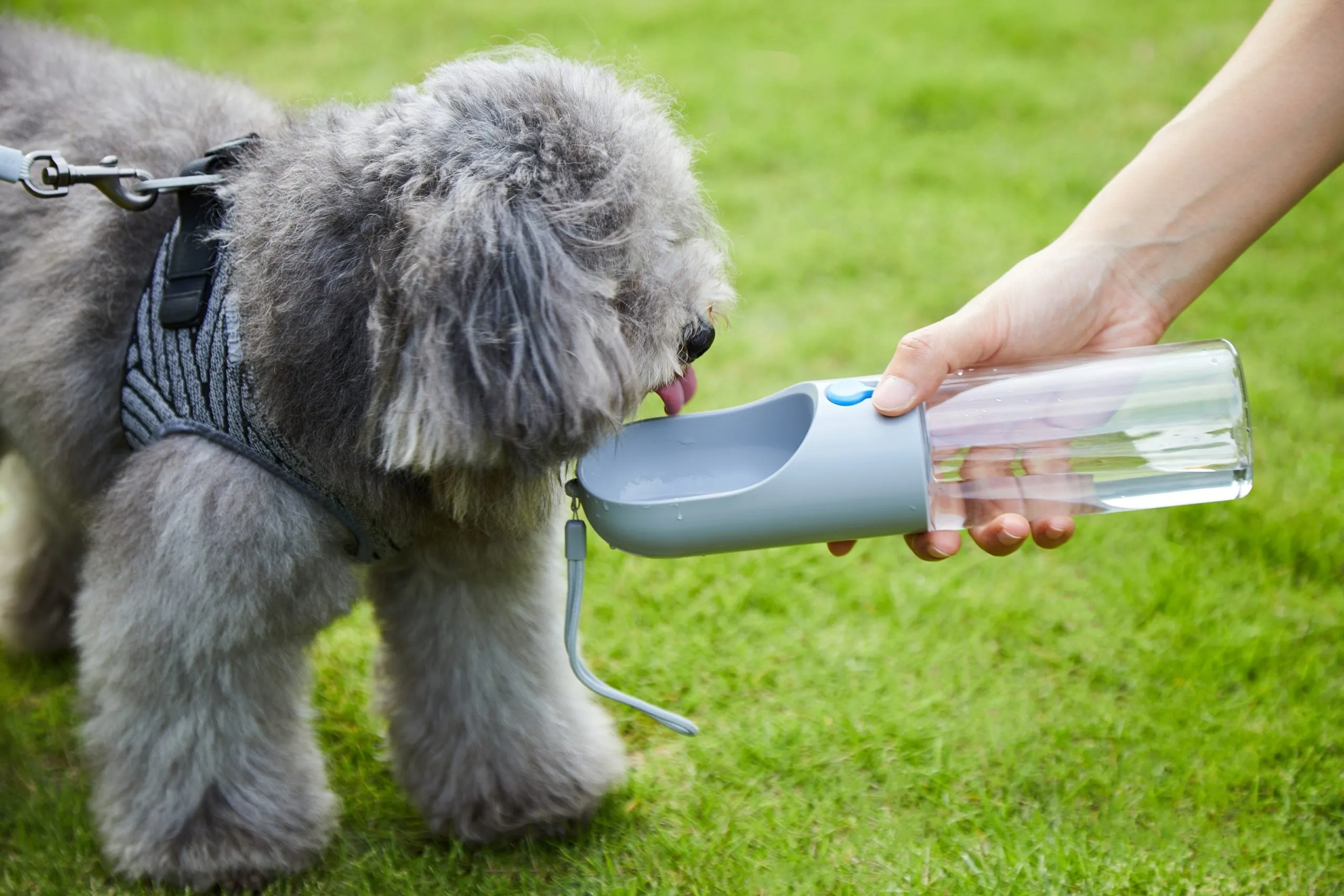 400ml Pet Water Bottle - Grey