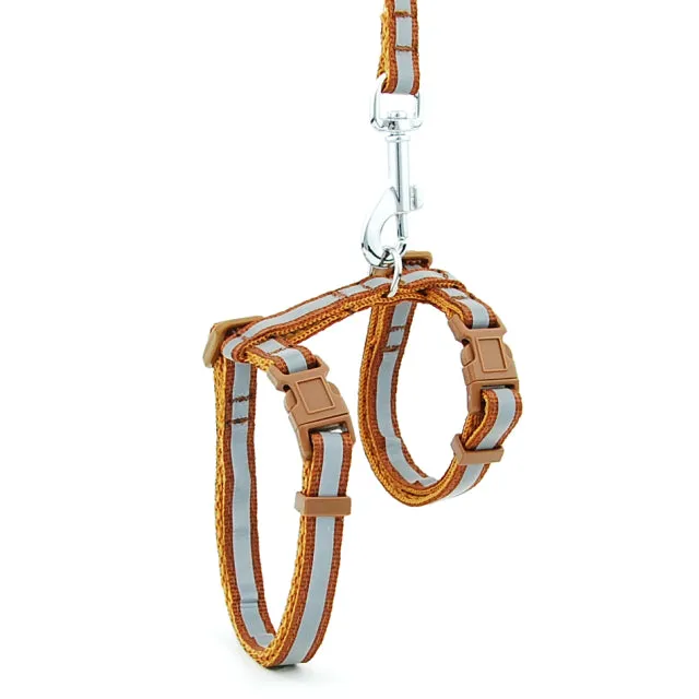 Adjustable Nylon Cat and Dog Harness with Reflective Strip and Quick Release