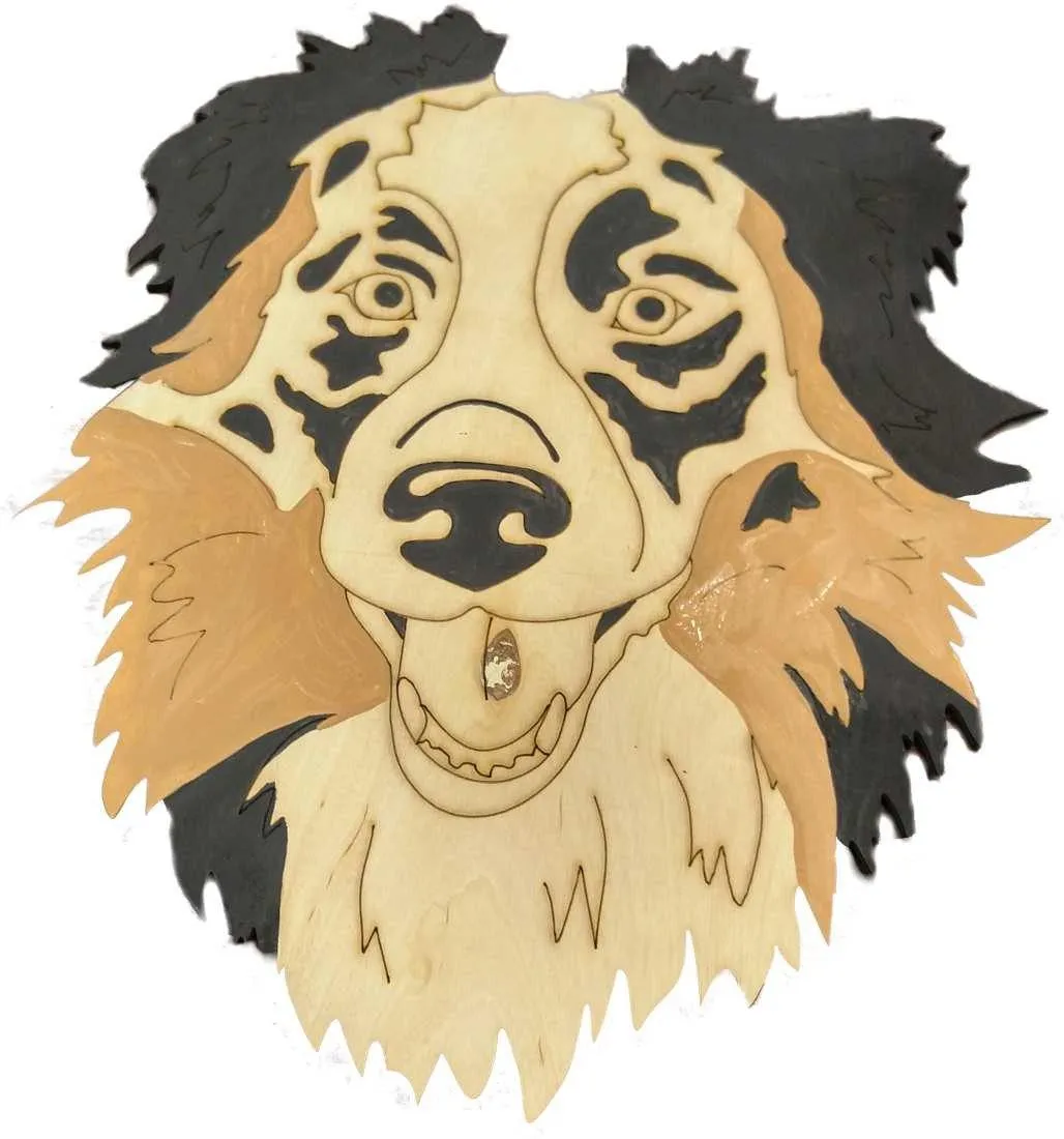 Australian Shepherd-DIY Pop Art Paint Kit