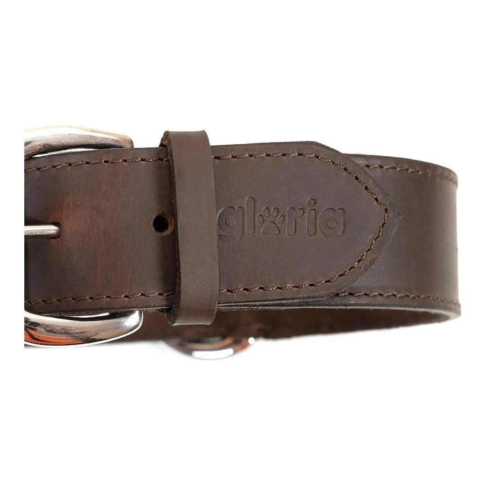 Dog Collar by Gloria Brown 60 Cm 60 x 4 Cm