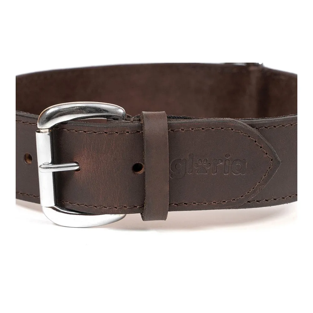 Dog Collar by Gloria Brown 60 Cm 60 x 4 Cm