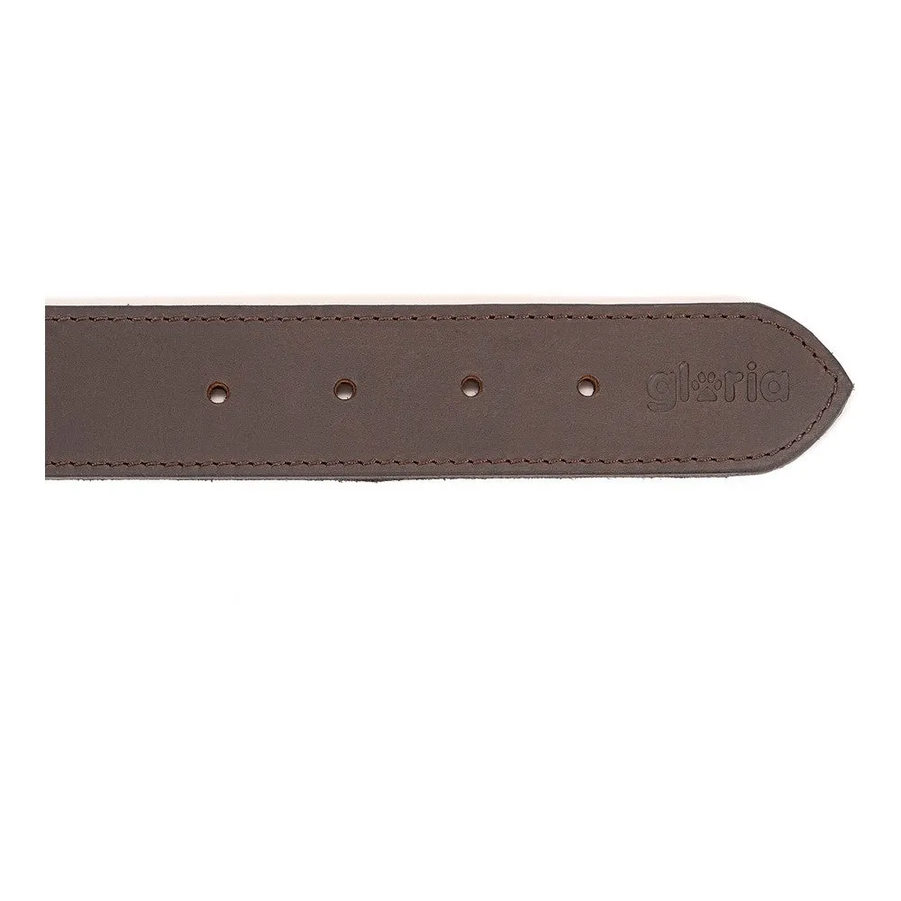 Dog Collar by Gloria Brown 60 Cm 60 x 4 Cm