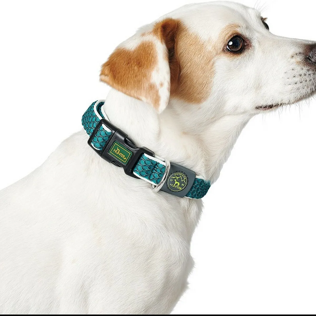 Dog Collar by Hunter Basic Thread Blue 20