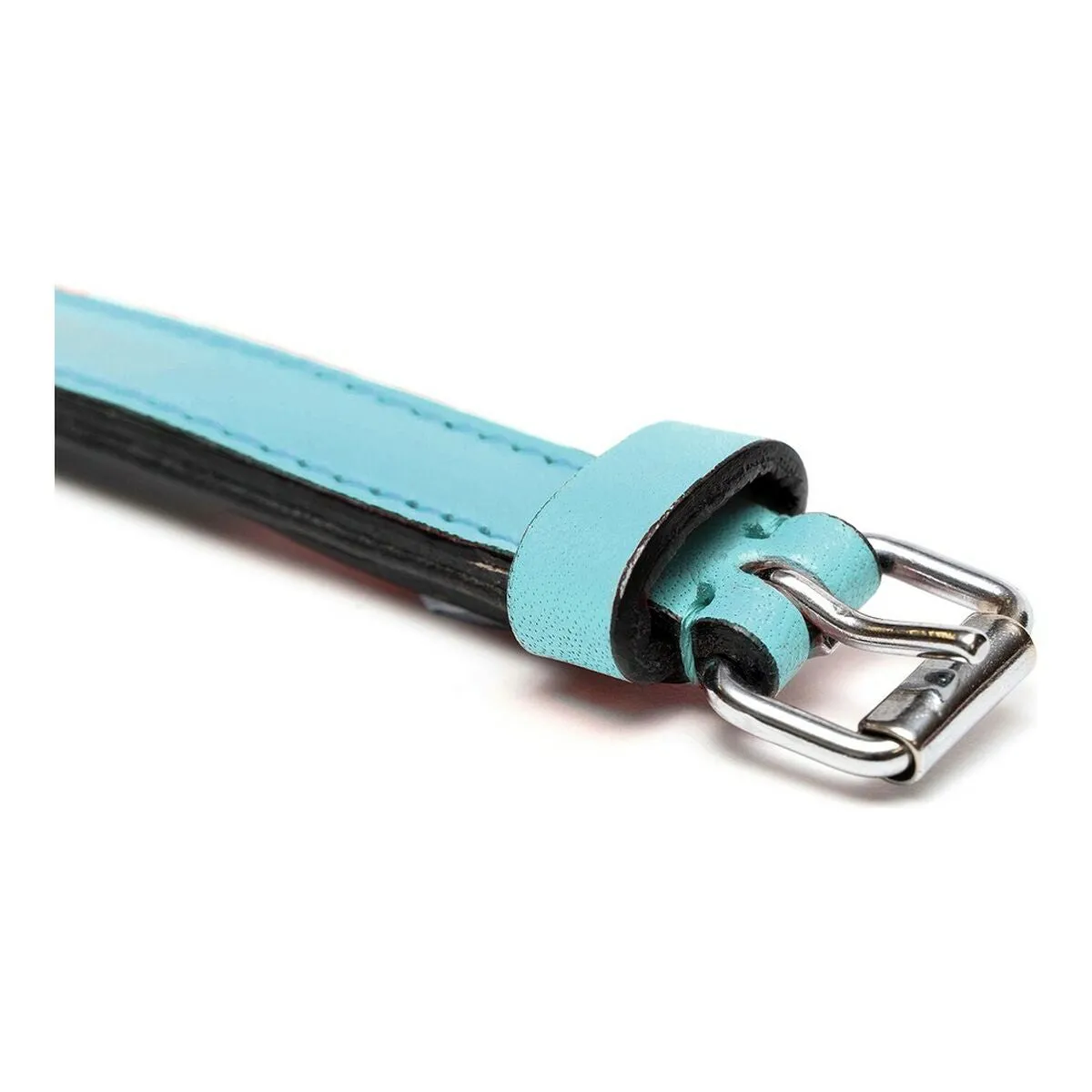 Dog Collar Gloria Padded Blue 55 x 2.5 Cm