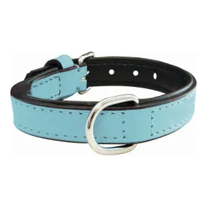 Dog Collar Gloria Padded Blue 55 x 2.5 Cm