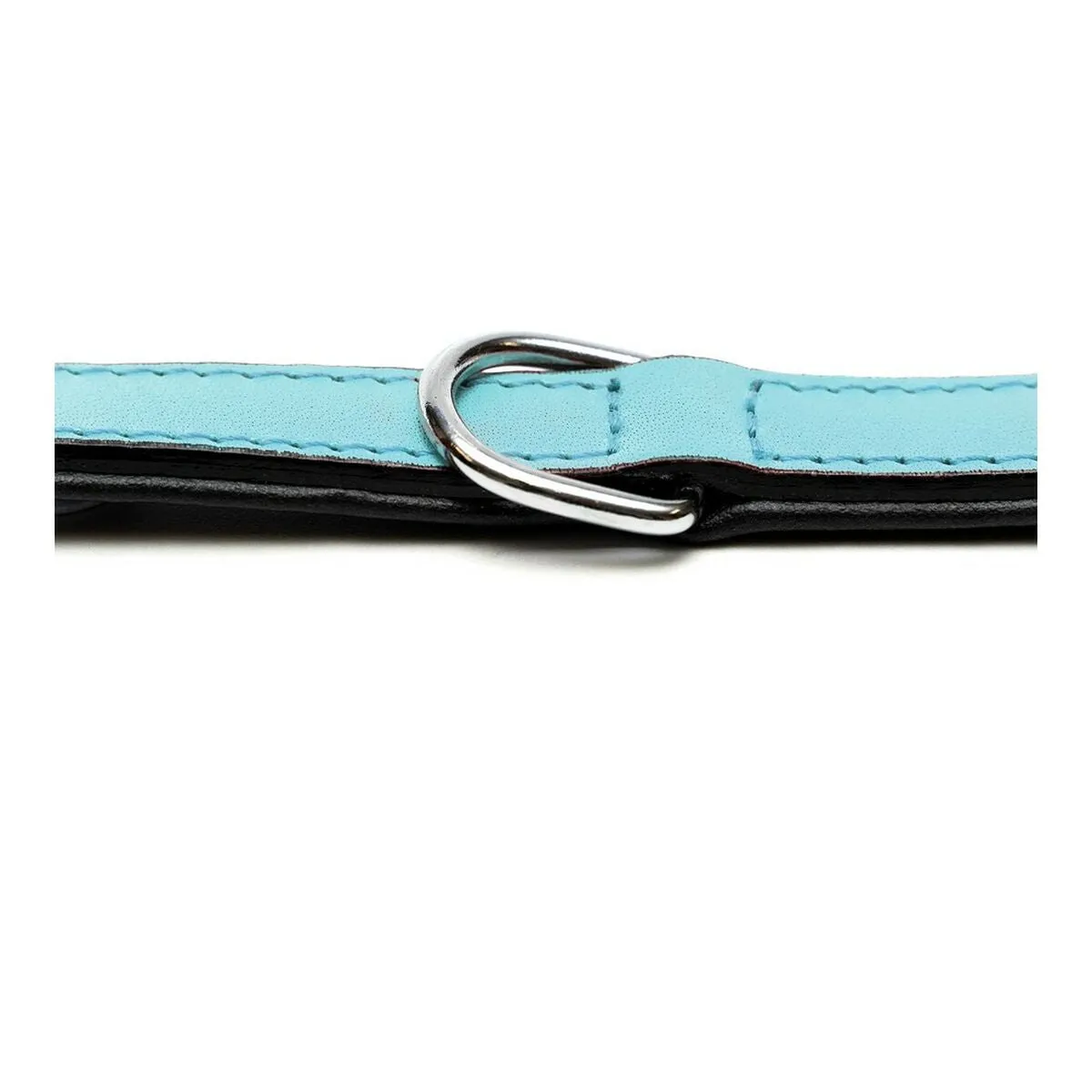 Dog Collar Gloria Padded Blue 55 x 2.5 Cm