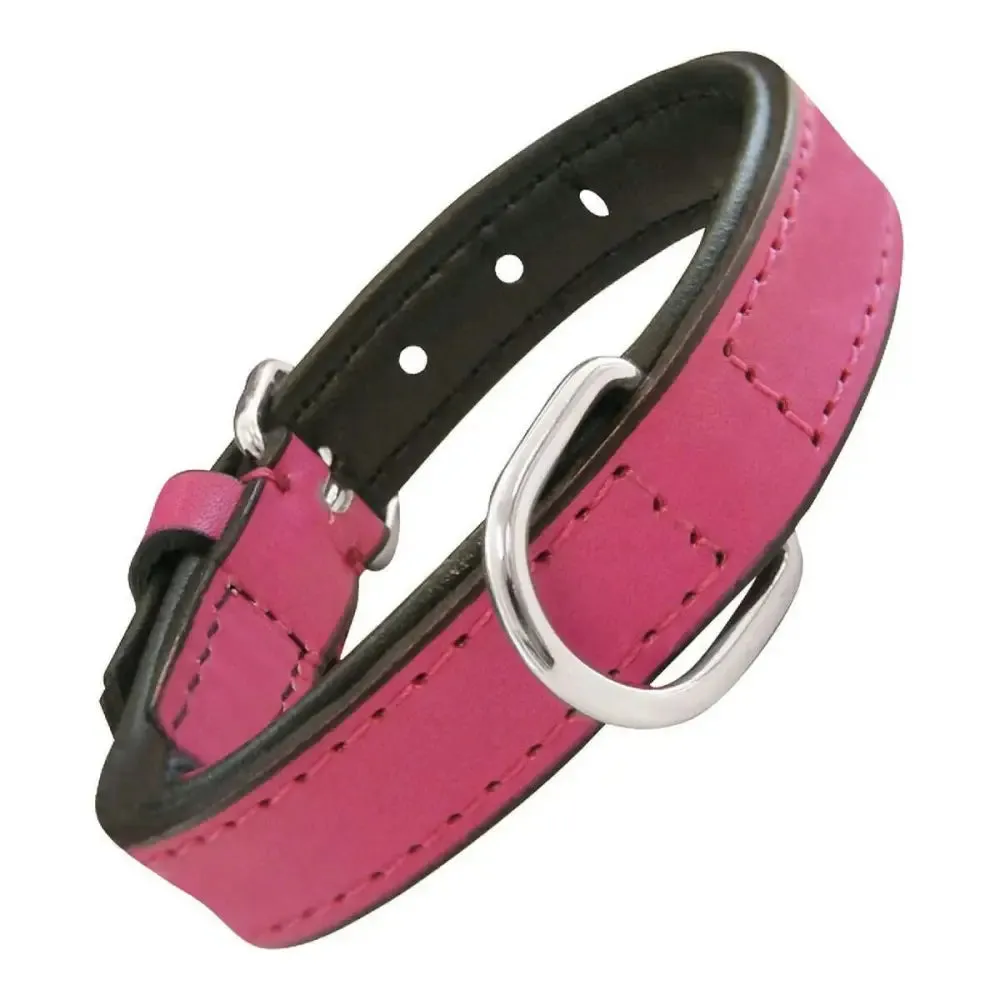 Dog Collar Gloria Padded Fuchsia (35 x 1,5 Cm)