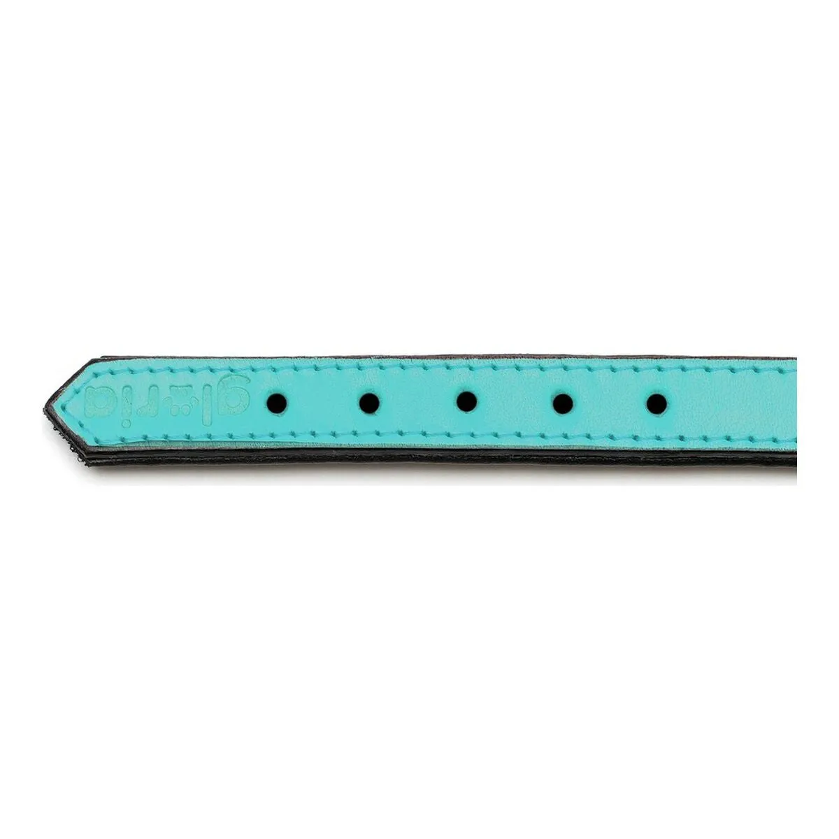 Dog Collar Gloria Padded Turquoise 45 Cm 45 x 2 Cm