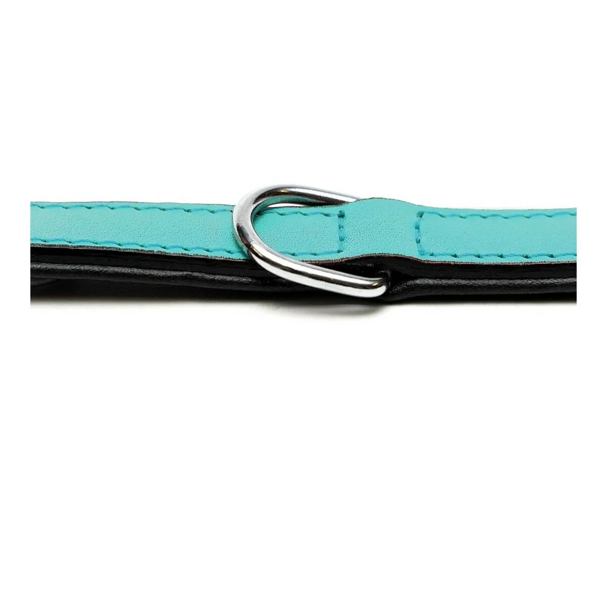 Dog Collar Gloria Padded Turquoise 45 Cm 45 x 2 Cm