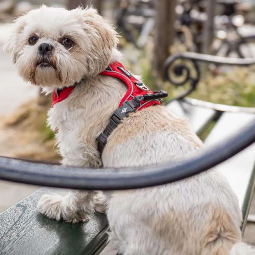 DOG Copenhagen Comfort Walk Pro Dog Harness (Classic Red)