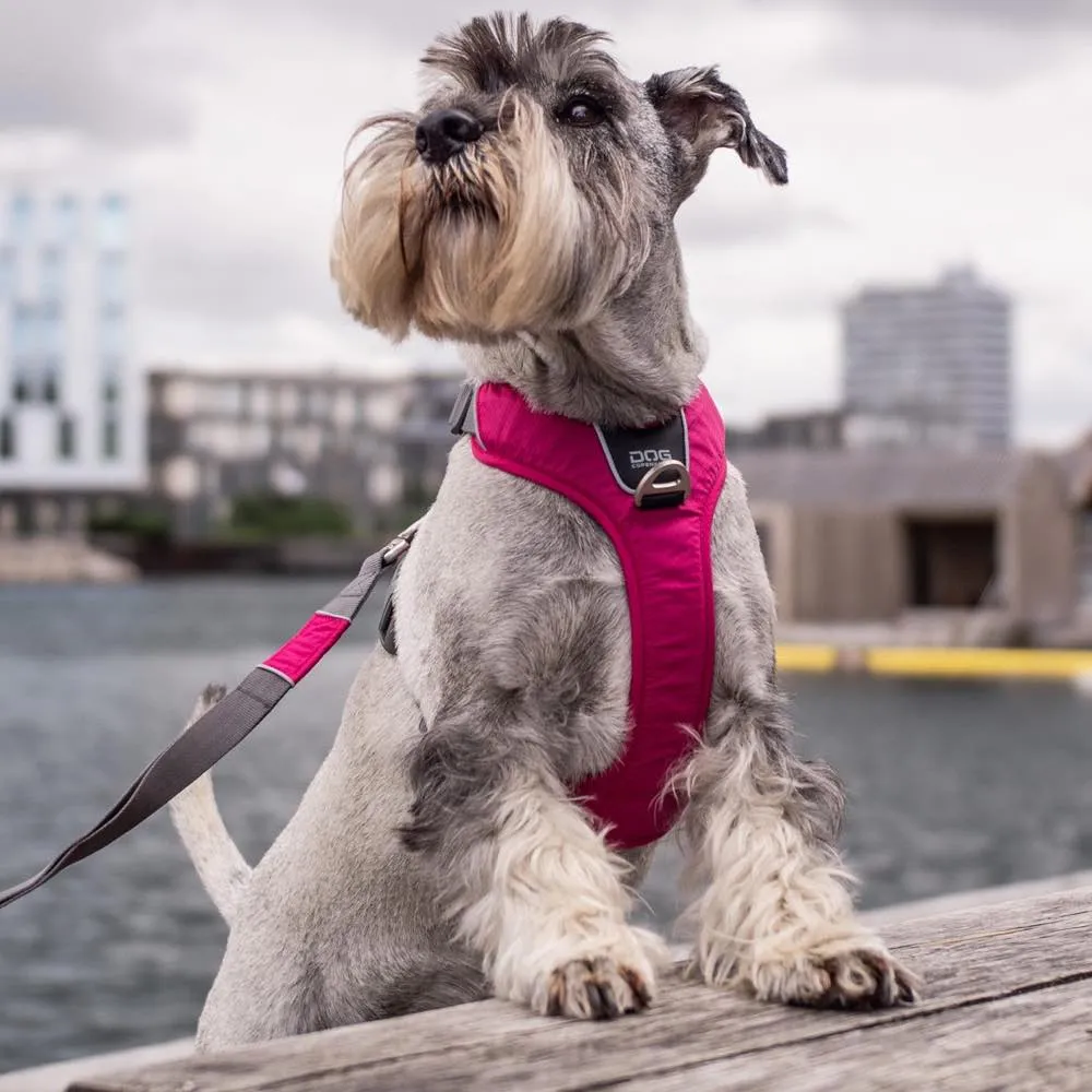 DOG Copenhagen Comfort Walk Pro Dog Harness (Mocca)