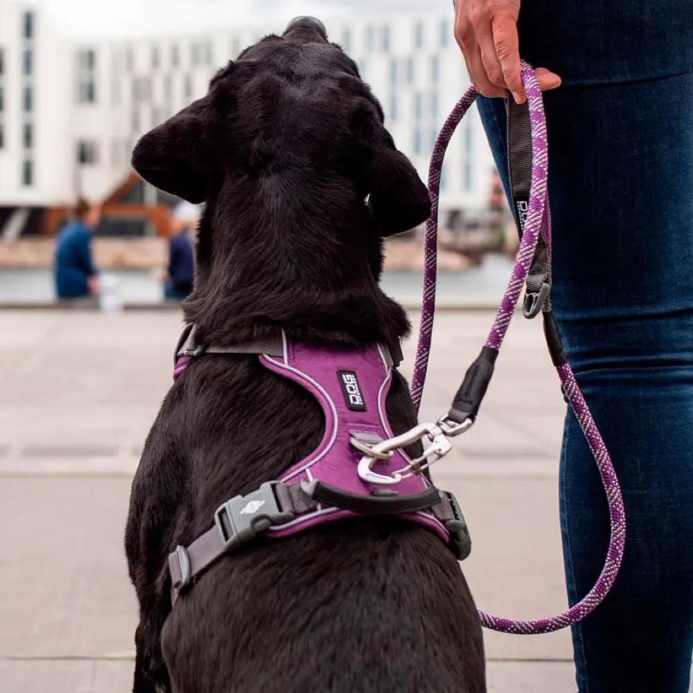 DOG Copenhagen Comfort Walk Pro Dog Harness (Mocca)