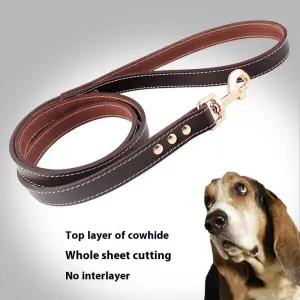 First Layer Faux leather- Pet Hand Holding Leather Dog leash