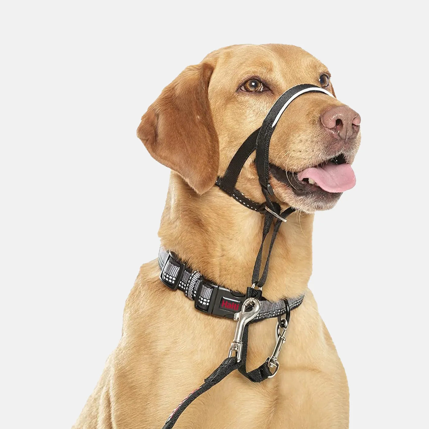 Halti Dog Headcollar - Black
