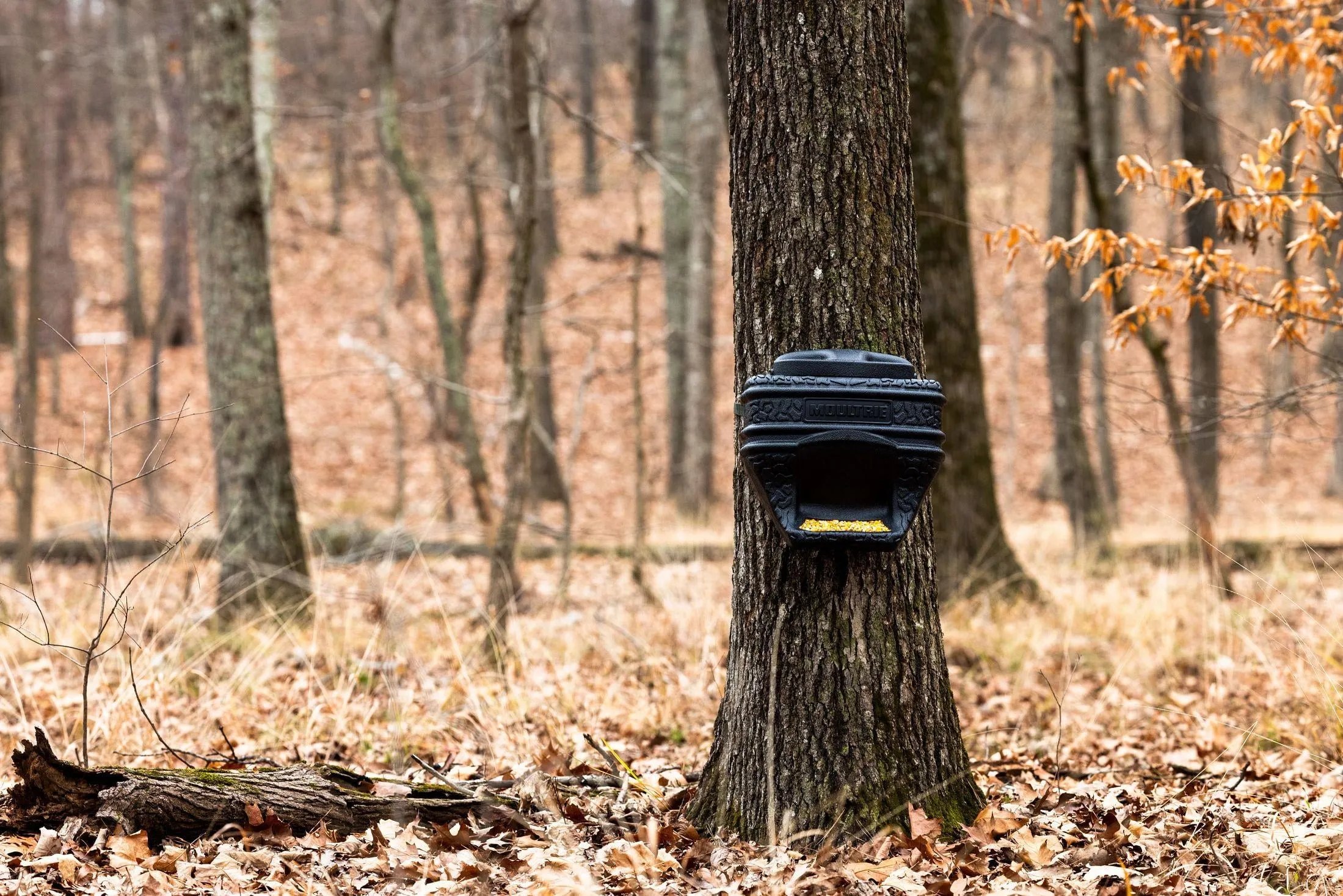 Moultrie 40lb. Feed Bin. - Easy Fill Gravity Feeder - 6 Gallon Capacity