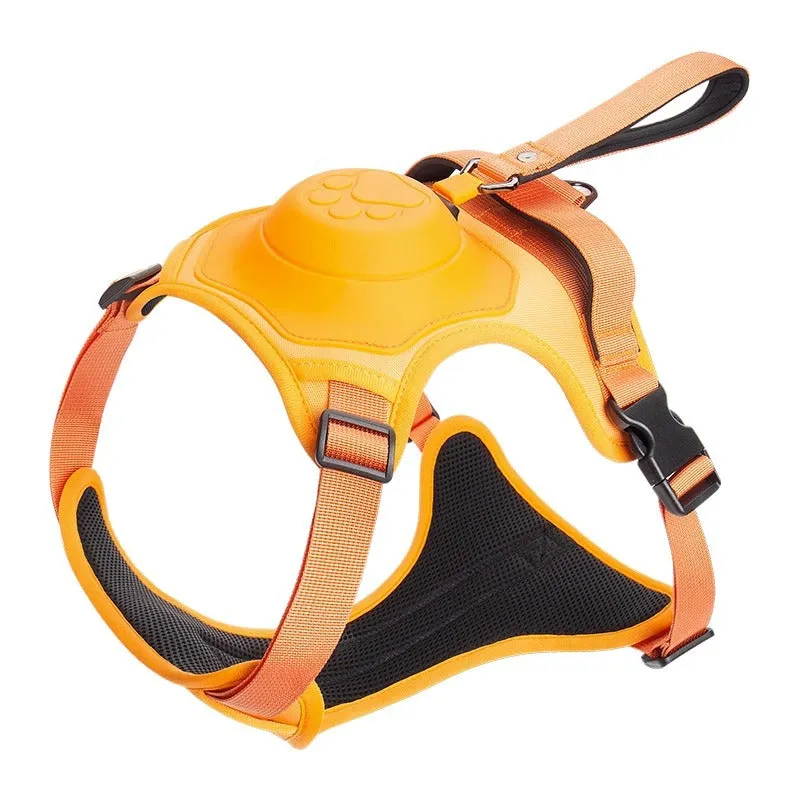 Pet Automatic Strap