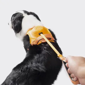 Pet Automatic Strap