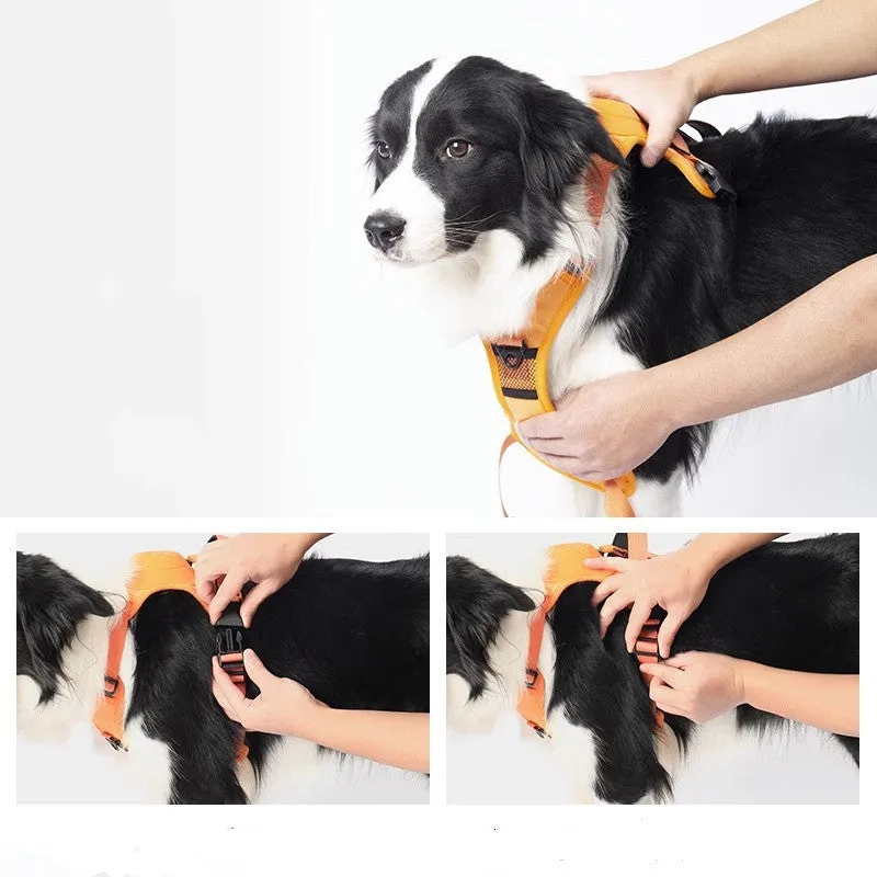 Pet Automatic Strap