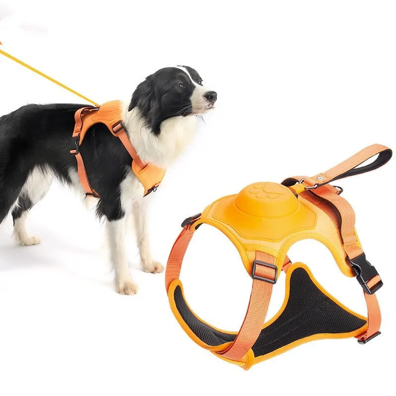 Pet Automatic Strap