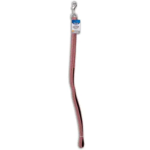 Petmate Braided Leather Leash