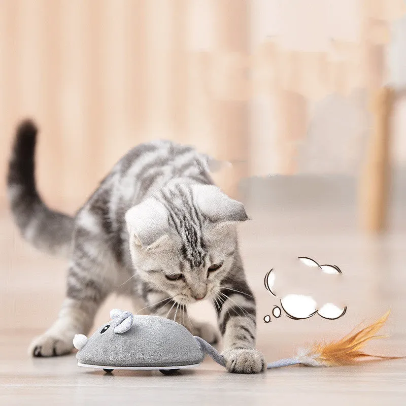 WhiskerChase