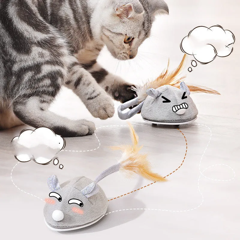 WhiskerChase