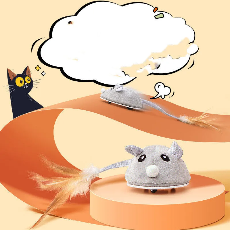 WhiskerChase