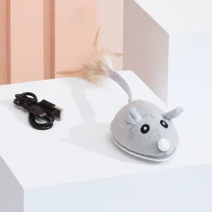 WhiskerChase