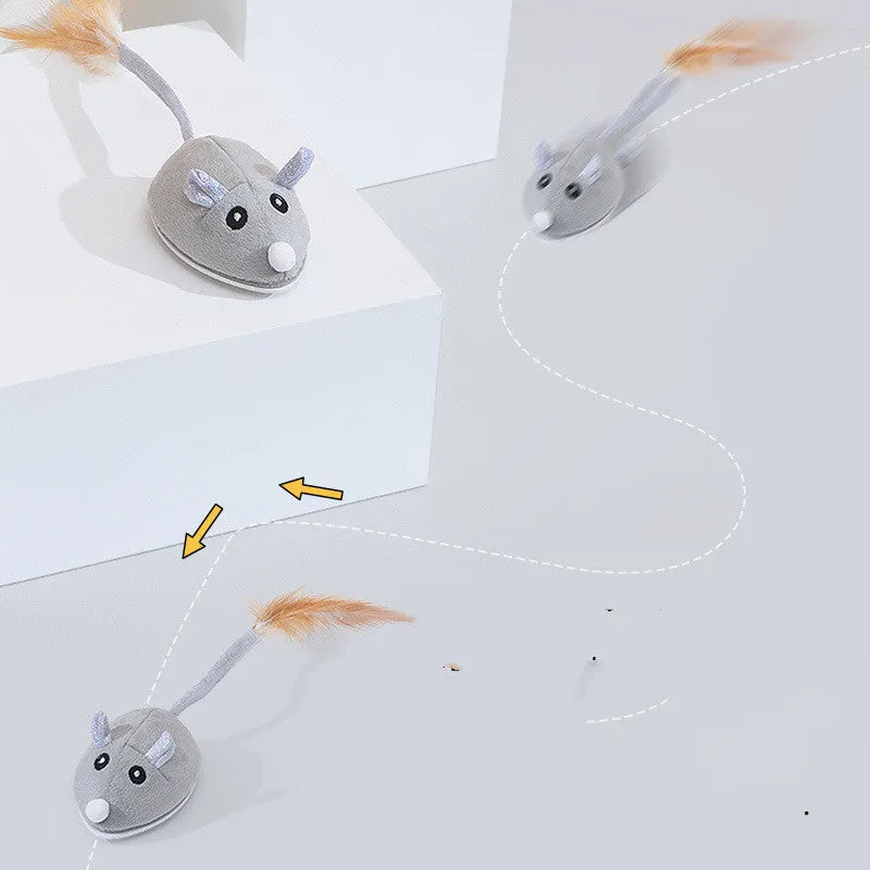 WhiskerChase